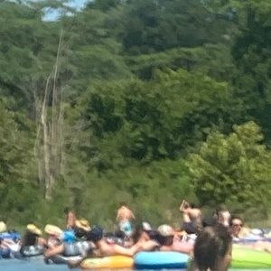 Meet your Posher, Bailey